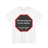 S2TBQM- Perseverance is my motto. - Sarah Breedlove  1867 - 1919