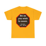 S2T- Be as you wish to seem.  -  Socrates  470 BC - 399 BC - blks2t