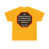 S2TBQM- All human wisdom is summed up in two words; wait and hope.  -  Alexandre Dumas   1802 - 1870