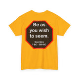 S2T- Be as you wish to seem.  -  Socrates  470 BC - 399 BC - blks2t