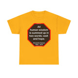 S2TBQM- All human wisdom is summed up in two words; wait and hope.  -  Alexandre Dumas   1802 - 1870