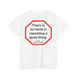 There is no harm in repeating a good thing.  -  Plato  428 BC - 348 BC - s2t