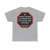 S2TBQM- All human wisdom is summed up in two words; wait and hope.  -  Alexandre Dumas   1802 - 1870