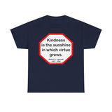 S2T- Kindness is the sunshine in which virtue grows.  -  Robert G. Ingersoll  1857 - 1899