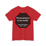 S2TBQM- Perseverance is my motto. - Sarah Breedlove  1867 - 1919