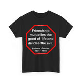 S2T- Friendship multiplies the good of life and divides the evil.    -  Baltasar Gracian  1601 - 1658 - blks2t