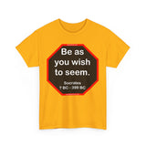 S2T- Be as you wish to seem.  -  Socrates  470 BC - 399 BC - blks2t