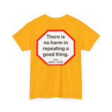 There is no harm in repeating a good thing.  -  Plato  428 BC - 348 BC - s2t