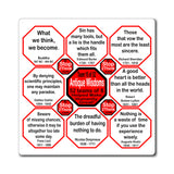 Team 15 of 52 Antique Magnetic Wisdoms Stick Around