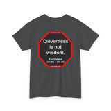 Cleverness is not wisdom.  -  Euripides  480 BC – 406 BC