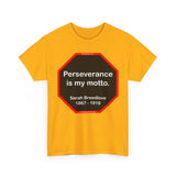 S2TBQM- Perseverance is my motto. - Sarah Breedlove  1867 - 1919