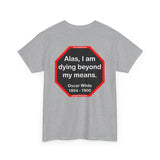 Alas, I am dying beyond my means.  -  Oscar Wilde  1854 - 1900