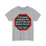 S2T- Friendship multiplies the good of life and divides the evil.    -  Baltasar Gracian  1601 - 1658 - blks2t