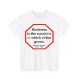 S2T- Kindness is the sunshine in which virtue grows.  -  Robert G. Ingersoll  1857 - 1899