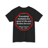 S2T- Friendship multiplies the good of life and divides the evil.    -  Baltasar Gracian  1601 - 1658 - blks2t