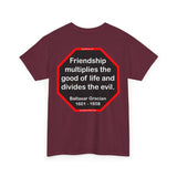 S2T- Friendship multiplies the good of life and divides the evil.    -  Baltasar Gracian  1601 - 1658 - blks2t