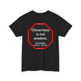 Cleverness is not wisdom.  -  Euripides  480 BC – 406 BC
