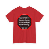 Experience is one thing you can't get for nothing.   -  Oscar Wilde 1854 - 1900