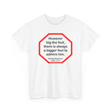 However big the fool, there is always a bigger fool to admire him.  -  Nicolas Despreaux  1636 - 1711 - S2T