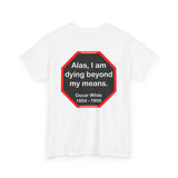 Alas, I am dying beyond my means.  -  Oscar Wilde  1854 - 1900