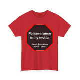 S2TBQM- Perseverance is my motto. - Sarah Breedlove  1867 - 1919