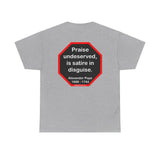 Praise undeserved, is satire in disguise.  -  Alexander Pope  1688 - 1744