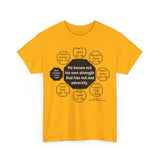 RW-4.7 - He knows not his own strength that has not met adversity.  -  Ben Jonson  1572 - 1637