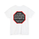 A chip on the shoulder is a sure sign of wood higher up.   -  Brigham Young  1801 - 1877 - S2T