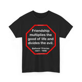 S2T- Friendship multiplies the good of life and divides the evil.    -  Baltasar Gracian  1601 - 1658 - blks2t