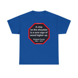 A chip on the shoulder is a sure sign of wood higher up.   -  Brigham Young  1801 - 1877 - S2T