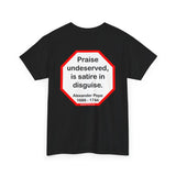 Praise undeserved, is satire in disguise.  -  Alexander Pope  1688 - 1744