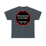 S2TBQM- Perseverance is my motto. - Sarah Breedlove  1867 - 1919